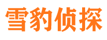 石家庄捉小三公司